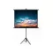 Vászon, Medium Tripod Screen, 203 x 203 cm vászonméret, 1:1 képarány, Hordozható, Állványos