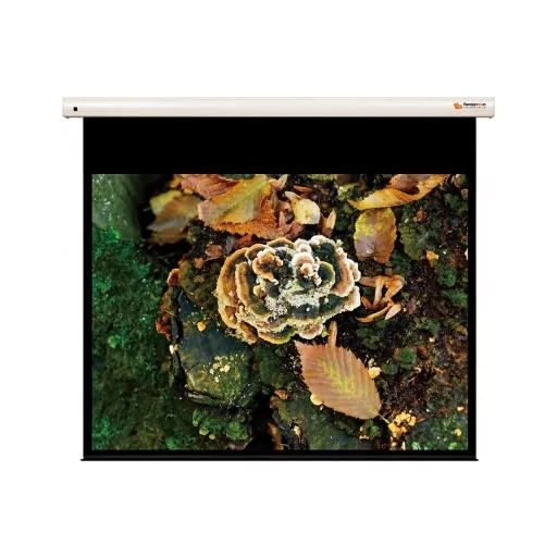 Vászon, FunScreen Premium Plus SB Motor, 171 x 275 cm vászonméret, 16:10 képarány, Motoros