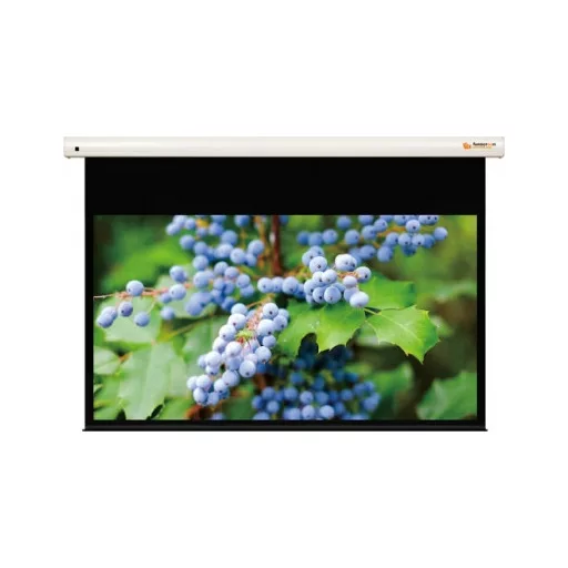 Vászon, FunScreen Premium Plus SB Motor, 137 x 244 cm vászonméret, 16:9 képarány, Házimozis, Motoros