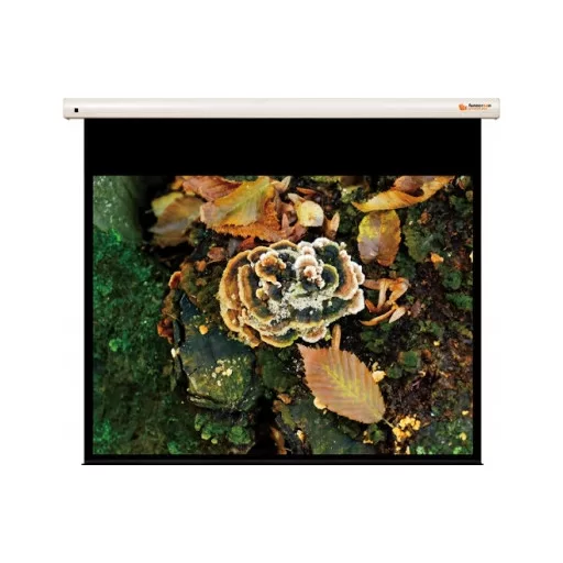Vászon, FunScreen Premium Plus SB Motor, 133 x 180 cm vászonméret, 4:3 képarány, Motoros