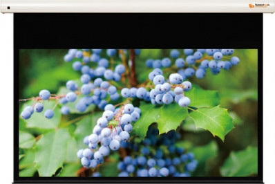 Vászon, FunScreen Premium Plus SA Motor, 254 x 410 cm vászonméret, 16:9 képarány, Házimozis, Motoros